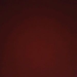 Meet your Posher, Luis